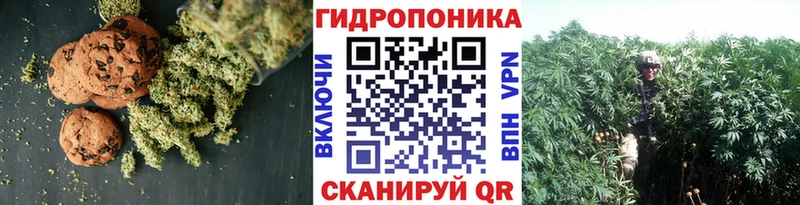 Canna-Cookies конопля Южа