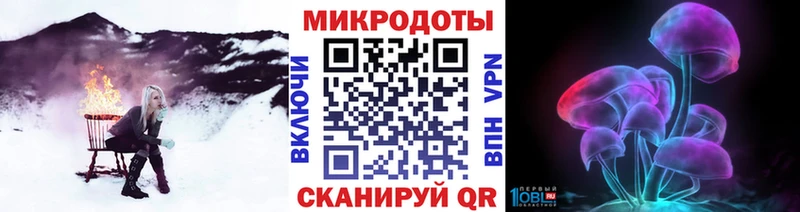 купить   Южа  Галлюциногенные грибы Cubensis 